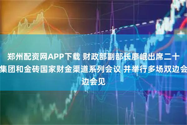 郑州配资网APP下载 财政部副部长廖岷出席二十国集团和金砖国家财金渠道系列会议 并举行多场双边会见
