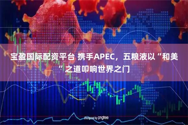 宝盈国际配资平台 携手APEC，五粮液以“和美”之道叩响世界之门
