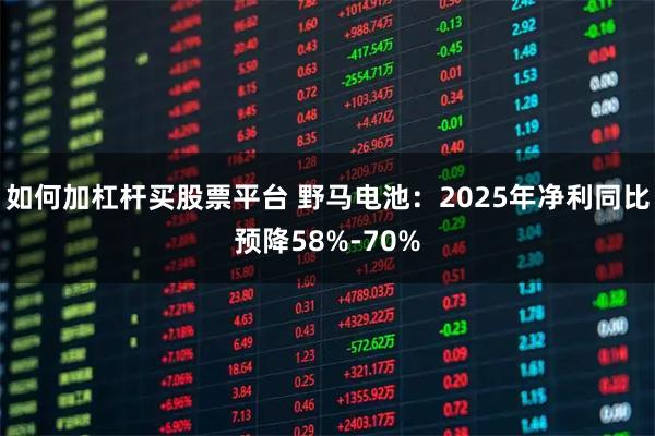 如何加杠杆买股票平台 野马电池：2025年净利同比预降58%-70%